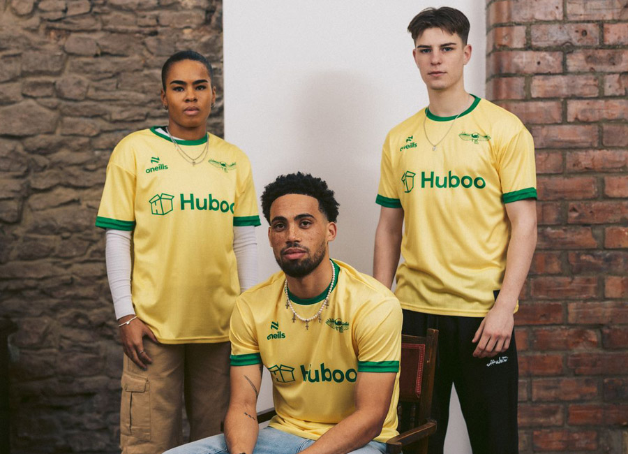 Bristol City 2023-24 O'Neills Third Kit