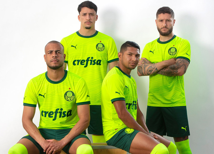 Palmeiras 2023-24 Puma Third Kit