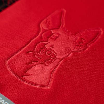 club_tijuana_2023-24_home_away_kits_c2.jpeg