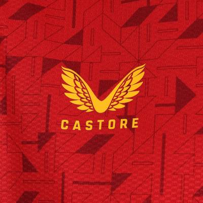 wolves_fc_2023_24_castore_away_kit_5.jpg