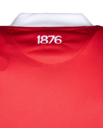 middlesbrough_2023_24_errea_home_kit_g.jpeg