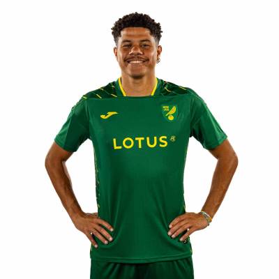 norwich_city_2023_24_joma_away_kit_e.jpeg