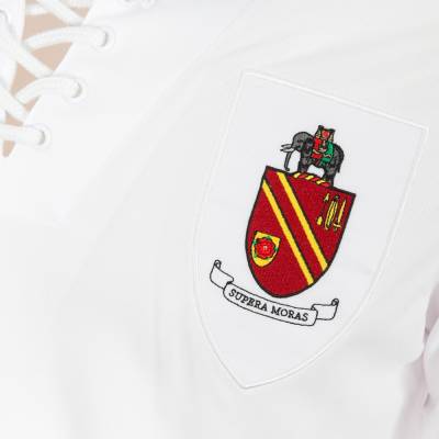 bolton_wanderers_2022_2023_fa_cup_centenary_shirt_h.jpeg