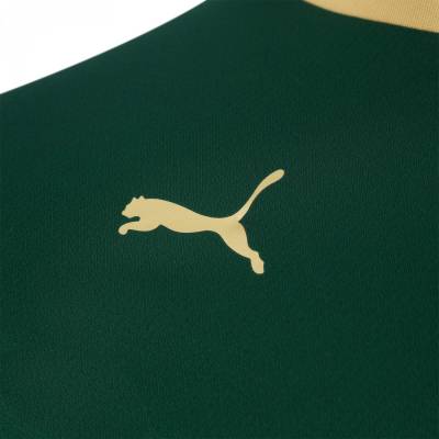 plymouth_argyle_2023_24_puma_home_kit_3.jpg