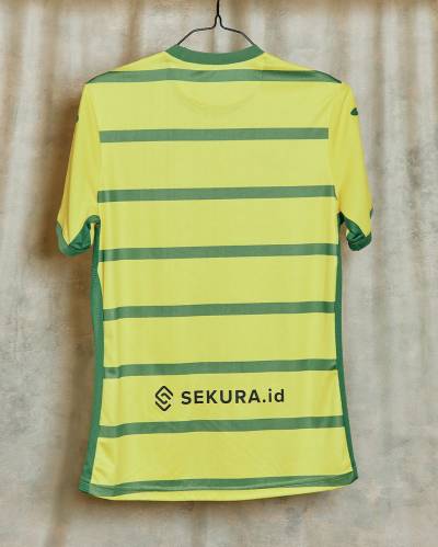 norwich_city_2023_24_joma_home_kit_g.jpeg