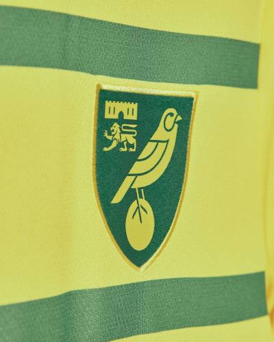 norwich_city_2023_24_joma_home_kit_i.jpeg