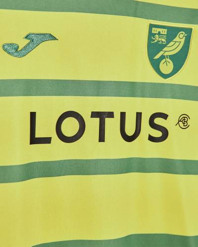norwich_city_2023_24_joma_home_kit_j.jpeg
