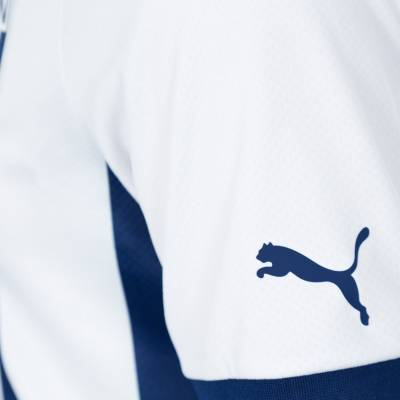west_bromwich_albion_2023_24_puma_home_kit_4.jpg