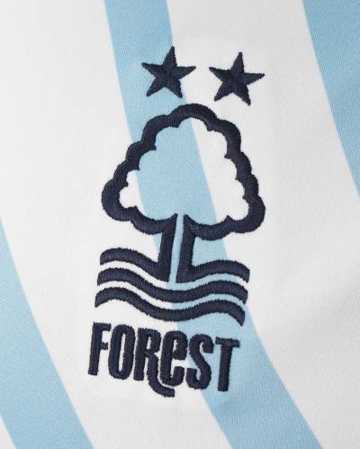 nottingham_forest_2023_24_adidas_away_kit_i.jpg