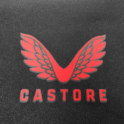 bayer_04_leverkusen_2023_24_castore_home_kit_e.jpeg