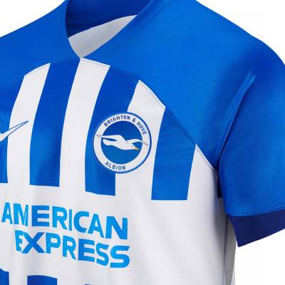 brighton_hove_albion_2023_24_nike_home_kit_e.jpeg