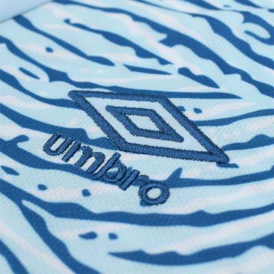 fc_bournemouth_2023_24_umbro_away_kit_l.jpg