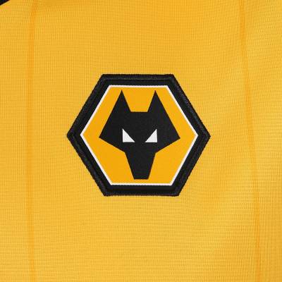 wolverhampton_wanderers_2023_24_castore_home_kit_j.jpeg