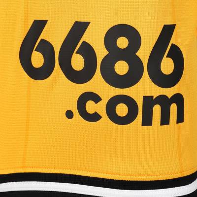 wolverhampton_wanderers_2023_24_castore_home_kit_k.jpeg