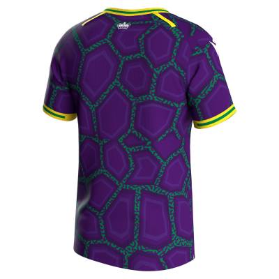 reading_2023_24_macron_third_kit_2.jpeg