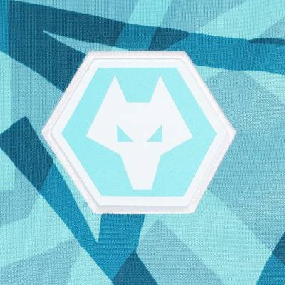 wolverhampton_wanderers_2023_24_castore_third_kit_j.jpeg