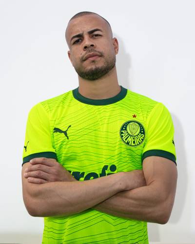 palmeiras_2023_24_puma_third_kit_b.jpeg