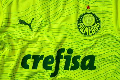 palmeiras_2023_24_puma_third_kit_e.jpeg
