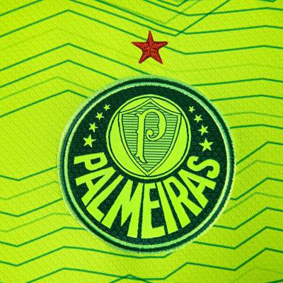 palmeiras_2023_24_puma_third_kit_f.jpeg