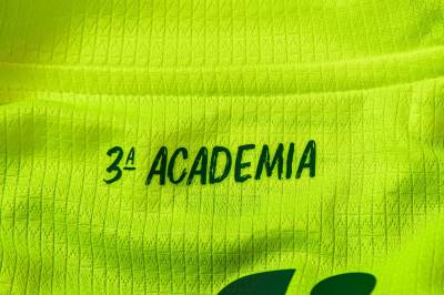 palmeiras_2023_24_puma_third_kit_g.jpeg