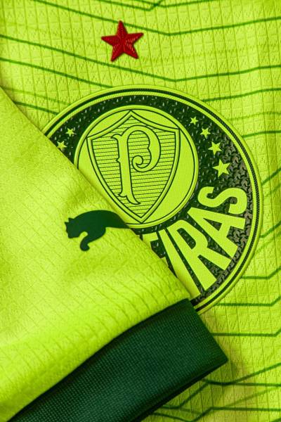 palmeiras_2023_24_puma_third_kit_h.jpeg