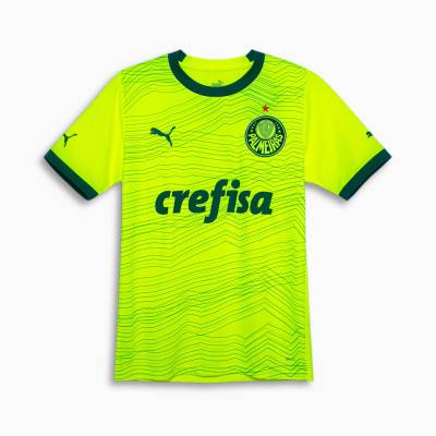 palmeiras_2023_24_puma_third_kit_k1.jpeg