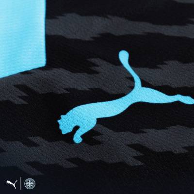 melbourne_city_2023_24_puma_away_kit_d.jpeg