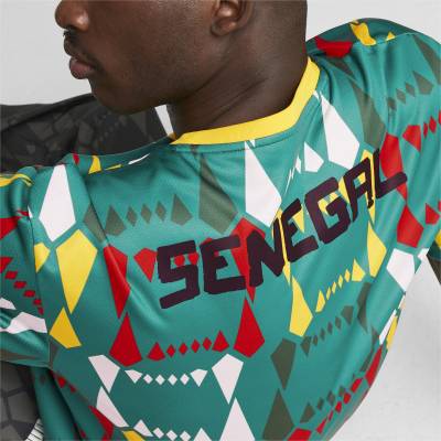 senegal_2023_puma_ftblculture_jersey_5.jpeg