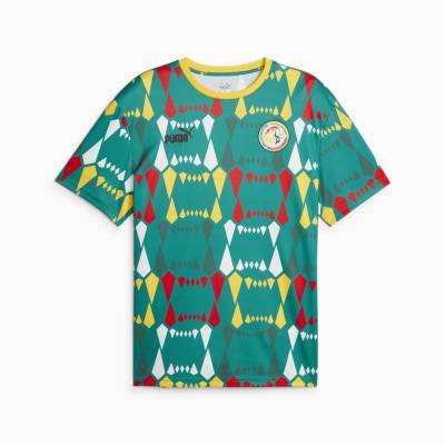 senegal_2023_puma_ftblculture_jersey_7.jpeg