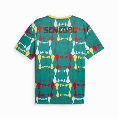 senegal_2023_puma_ftblculture_jersey_8.jpeg