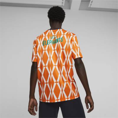 ivory_coast_2023_puma_ftblculture_jersey_3.jpeg