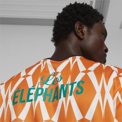 ivory_coast_2023_puma_ftblculture_jersey_5.jpeg