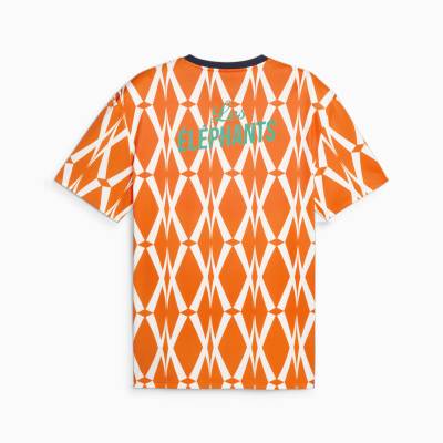 ivory_coast_2023_puma_ftblculture_jersey_8.jpeg
