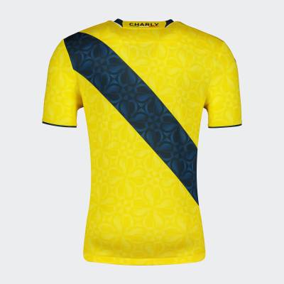 everton_de_vina_del_mar_2024_charly_away_kit_b.jpeg