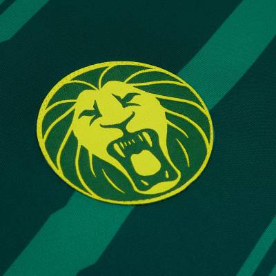 cameroon_2022_2023_home_away_third_kits_a_5.jpg
