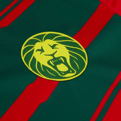 cameroon_2022_2023_home_away_third_kits_b_5.jpg