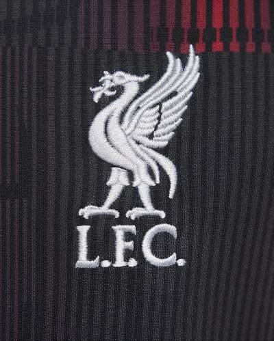 liverpool_2024_pre_match_top_gym_red_wolf_grey_4.jpeg