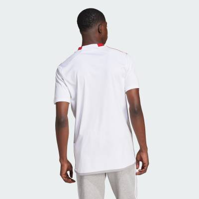 toronto_fc_2024_25_adidas_away_kit_d1.jpg