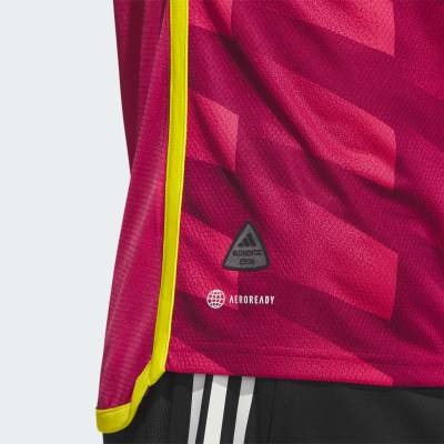 st_louis_city_2023_2024_adidas_home_kit_9.jpg