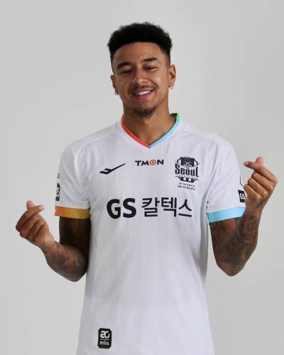 fc_seoul_2024_pro_specs_away_kit_b.jpeg