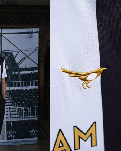 seongnam_fc_2024_umbro_home_kit_d.jpeg