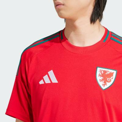 wales_2024_adidas_home_kit_f1.jpg