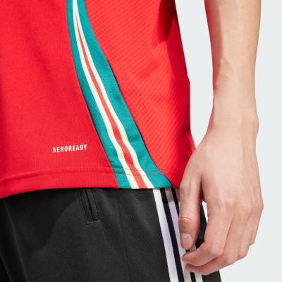 wales_2024_adidas_home_kit_g1.jpg
