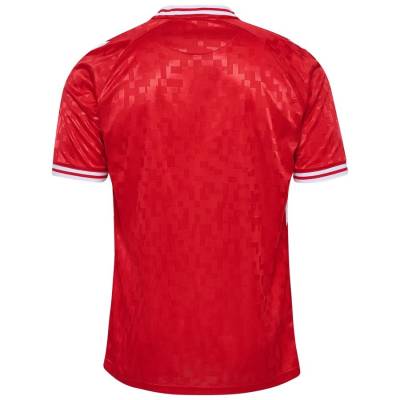 denmark_2024_hummel_home_kit_f.jpeg