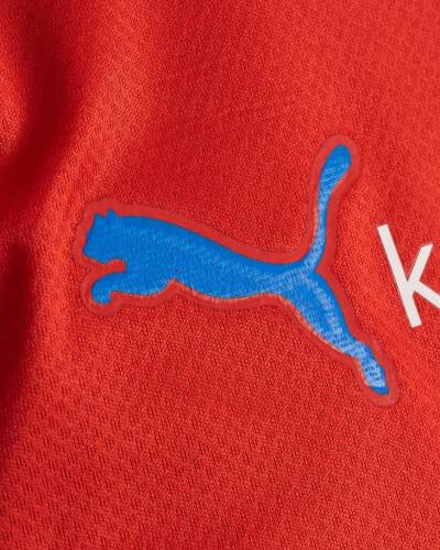 helsingborgs_if_2024_puma_home_kit_g.jpeg