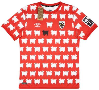 afc_wimbledon_warm_and_wonderful_war_child_umbro_pre_match_shirt_a.jpg