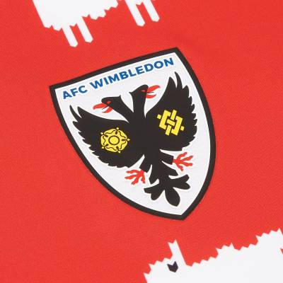 afc_wimbledon_warm_and_wonderful_war_child_umbro_pre_match_shirt_c.jpg