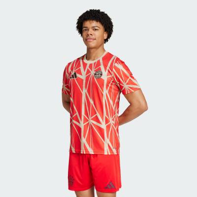 fc_bayern_24_25_adidas_pre_match_jersey_red_a1.jpg