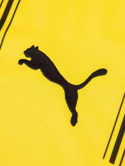 borussia_dortmund_24_25_home_shirt_leaked_c.jpeg