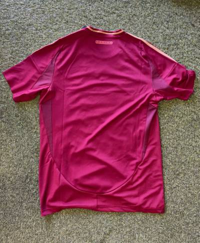 as_roma_24_25_home_shirt_leaked_c.jpeg